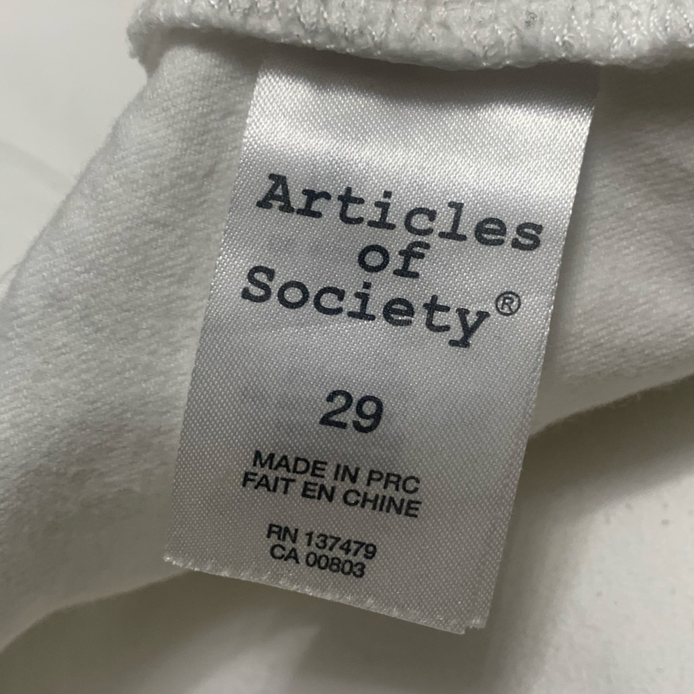 Articles of society 29x29 - Picture 8 of 12